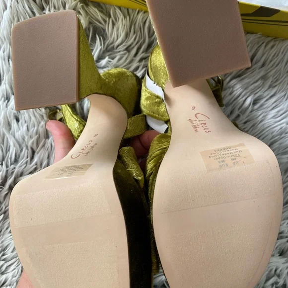 Circus by Sam Edelman Olive Velvet Heels - Picture 5 of 8